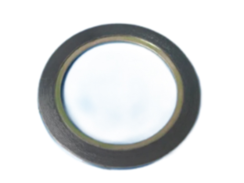 Spiral Wound Gasket with Inner Ring